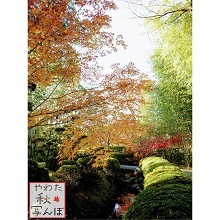 紅葉と竹に囲まれた松花堂庭園